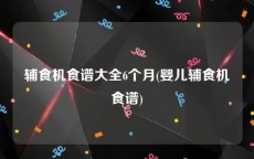 辅食机食谱大全6个月(婴儿辅食机食谱)