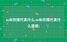 66朵玫瑰代表什么(66朵玫瑰代表什么意思)