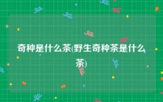奇种是什么茶(野生奇种茶是什么茶)