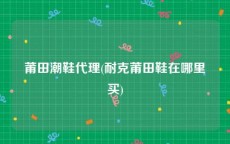 莆田潮鞋代理(耐克莆田鞋在哪里买)