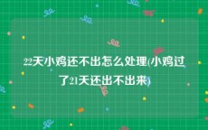 22天小鸡还不出怎么处理(小鸡过了21天还出不出来)