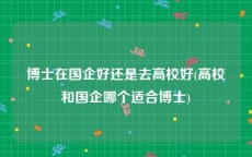 博士在国企好还是去高校好(高校和国企哪个适合博士)