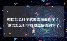 微信怎么打字就覆盖后面的字了 微信怎么打字就覆盖后面的字了呢