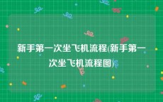 新手第一次坐飞机流程(新手第一次坐飞机流程图)