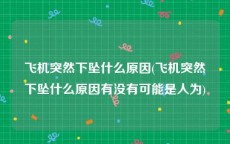 飞机突然下坠什么原因(飞机突然下坠什么原因有没有可能是人为)