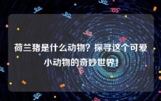 荷兰猪是什么动物？探寻这个可爱小动物的奇妙世界！