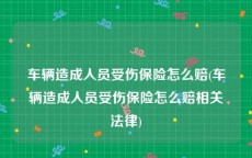 车辆造成人员受伤保险怎么赔(车辆造成人员受伤保险怎么赔相关法律)
