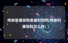 纯原是莆田鞋里最好的吗(纯原的莆田鞋怎么样)