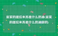 宜家的提拉米苏是什么奶油(宜家的提拉米苏是什么奶油做的)