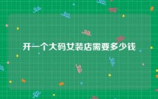 开一个大码女装店需要多少钱