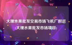大理水果批发交易市场飞机厂附近(大理水果批发市场项目)