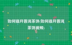 如何撬开普洱茶饼(如何撬开普洱茶饼视频)
