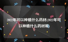 2022年可以种植什么药材(2022年可以种植什么药材呢)
