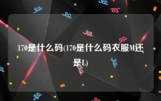 170是什么码(170是什么码衣服M还是L)