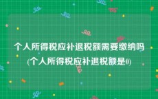 个人所得税应补退税额需要缴纳吗(个人所得税应补退税额是0)