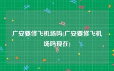 广安要修飞机场吗(广安要修飞机场吗现在)