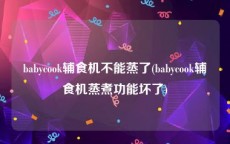 babycook辅食机不能蒸了(babycook辅食机蒸煮功能坏了)
