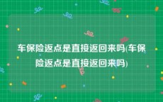车保险返点是直接返回来吗(车保险返点是直接返回来吗)