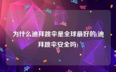 为什么迪拜跳伞是全球最好的(迪拜跳伞安全吗)