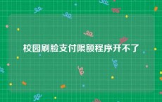 校园刷脸支付限额程序开不了