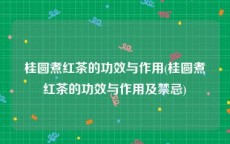桂圆煮红茶的功效与作用(桂圆煮红茶的功效与作用及禁忌)