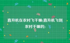 直升机在农村飞干嘛(直升机飞到农村干嘛的)