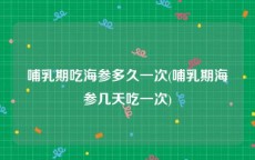 哺乳期吃海参多久一次(哺乳期海参几天吃一次)