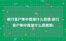 银行客户集中度是什么意思(银行客户集中度是什么意思啊)
