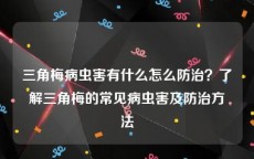 三角梅病虫害有什么怎么防治？了解三角梅的常见病虫害及防治方法