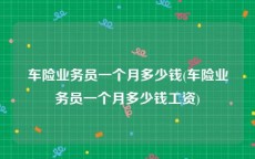 车险业务员一个月多少钱(车险业务员一个月多少钱工资)