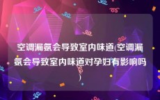 空调漏氨会导致室内味道(空调漏氨会导致室内味道对孕妇有影响吗)