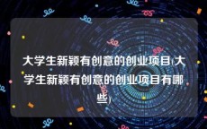大学生新颖有创意的创业项目(大学生新颖有创意的创业项目有哪些)