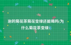 泡的菊花茶菊花变绿还能喝吗(为什么菊花茶变绿)
