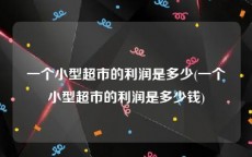 一个小型超市的利润是多少(一个小型超市的利润是多少钱)