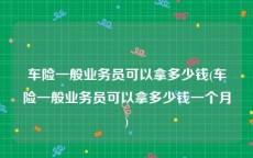 车险一般业务员可以拿多少钱(车险一般业务员可以拿多少钱一个月)