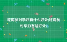 吃海参对孕妇有什么好处(吃海参对孕妇有啥好处)