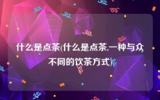 什么是点茶(什么是点茶,一种与众不同的饮茶方式)