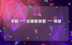 手机 *** 在哪里查看 *** 等级