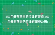 2022年最有前景的行业有哪些(2022年最有前景的行业有哪些公司)