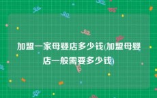 加盟一家母婴店多少钱(加盟母婴店一般需要多少钱)