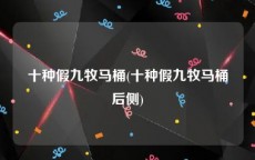 十种假九牧马桶(十种假九牧马桶后侧)
