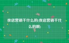 夜店营销干什么的(夜店营销干什么的啊)