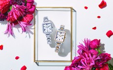 石英表机芯怎么洗油(石英表洗油保养)