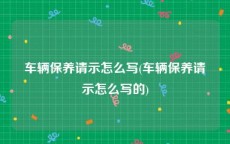 车辆保养请示怎么写(车辆保养请示怎么写的)