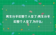 男生分手后整个人变了(男生分手后整个人变了,为什么)