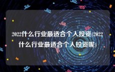 2022什么行业最适合个人投资(2022什么行业最适合个人投资呢)