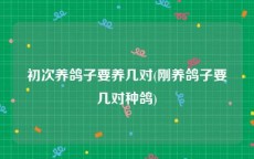 初次养鸽子要养几对(刚养鸽子要几对种鸽)