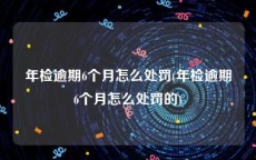 年检逾期6个月怎么处罚(年检逾期6个月怎么处罚的)