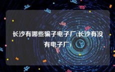 长沙有哪些骗子电子厂(长沙有没有电子厂)