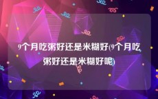 9个月吃粥好还是米糊好(9个月吃粥好还是米糊好呢)